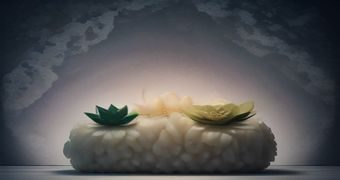 手机h游戏新版本更新界面，明亮粉色UI展示新增角色与剧情章节，移动端游戏体验升级